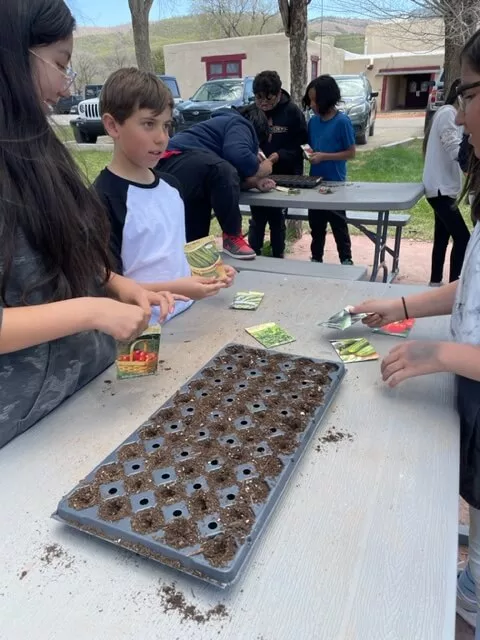 Children at Taos Day School Standing Over Outdoor Tables and Planting Seeds in Pots.