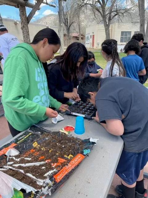 Children at Taos Day School Leaning Over an Outdoor Table and Putting Seeds into Seed Balls.