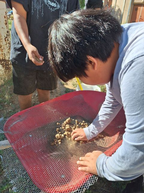 Child sifting dirt through a sieve into a wheelbarrow outside.